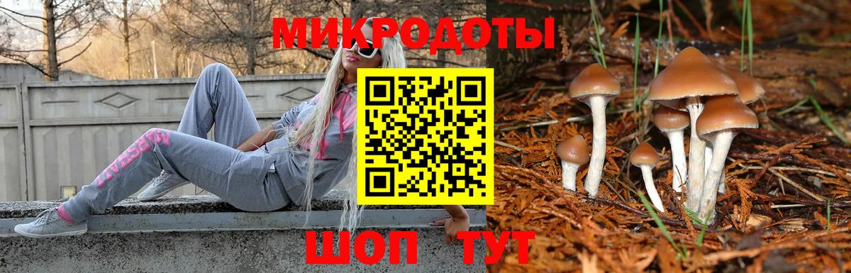 Галлюциногенные грибы Psilocybe  Вход с VPN  Кумертау 
